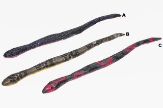 Obrázek z Pískové zvířátko had 34,5cm, 3dr (12) 